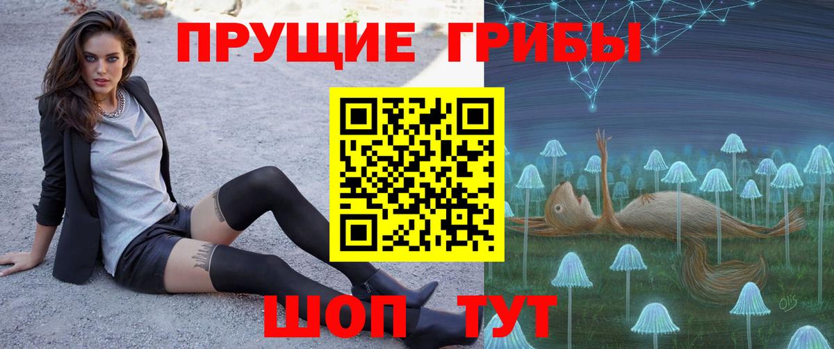 Псилоцибиновые грибы мицелий Железногорск