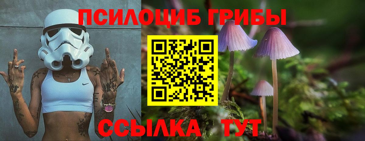 Железногорск  где купить   Вход с VPN  Псилоцибиновые грибы прущие грибы  Галлюциногенные грибы прущие грибы 